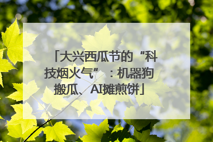 大兴西瓜节的“科技烟火气”：机器狗搬瓜、AI摊煎饼