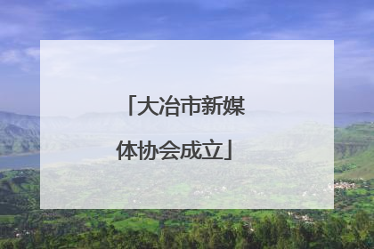 大冶市新媒体协会成立