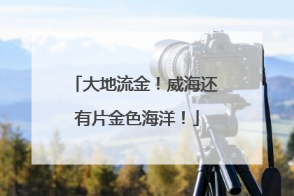 大地流金！威海还有片金色海洋！