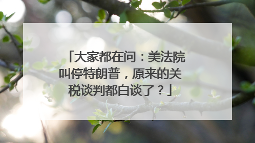 大家都在问：美法院叫停特朗普，原来的关税谈判都白谈了？