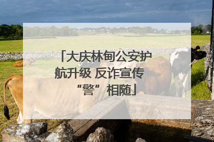 大庆林甸公安护航升级 反诈宣传“警”相随