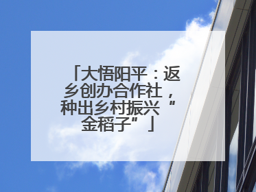 大悟阳平：返乡创办合作社，种出乡村振兴“金稻子”