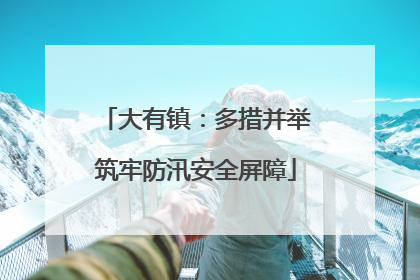 大有镇：多措并举筑牢防汛安全屏障