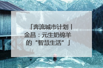 奔流城市计划丨金昌：元生奶绵羊的“智慧生活”