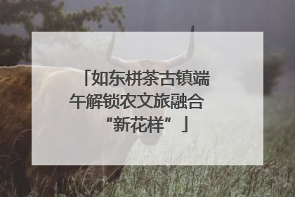 如东栟茶古镇端午解锁农文旅融合“新花样”