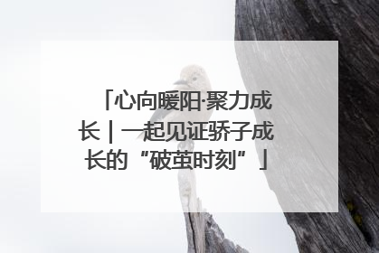 心向暖阳·聚力成长｜一起见证骄子成长的“破茧时刻”