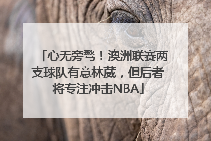 心无旁骛！澳洲联赛两支球队有意林葳，但后者将专注冲击NBA