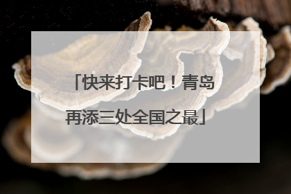 快来打卡吧！青岛再添三处全国之最
