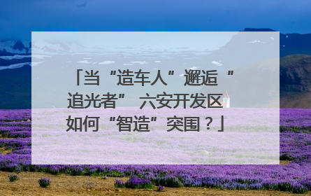 当“造车人”邂逅“追光者” 六安开发区如何“智造”突围？