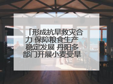 形成抗旱救灾合力 保障粮食生产稳定发展 丹阳多部门开展小麦受旱情况调研
