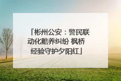 彬州公安：警民联动化赡养纠纷 枫桥经验守护夕阳红