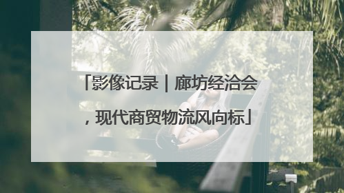影像记录｜廊坊经洽会，现代商贸物流风向标