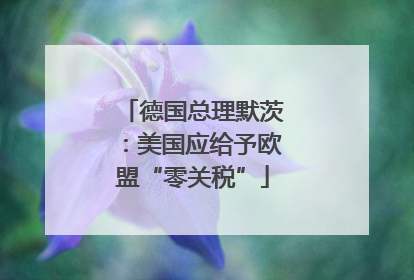 德国总理默茨：美国应给予欧盟“零关税”