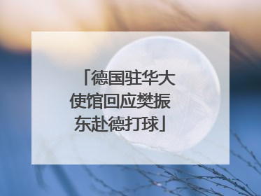 德国驻华大使馆回应樊振东赴德打球