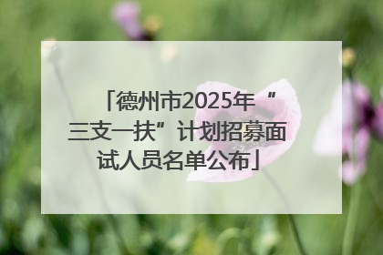 德州市2025年“三支一扶”计划招募面试人员名单公布
