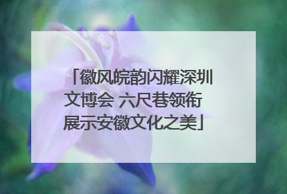 徽风皖韵闪耀深圳文博会 六尺巷领衔展示安徽文化之美
