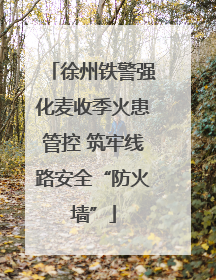 徐州铁警强化麦收季火患管控 筑牢线路安全“防火墙”