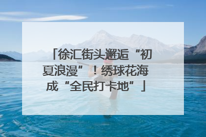 徐汇街头邂逅“初夏浪漫”！绣球花海成“全民打卡地”