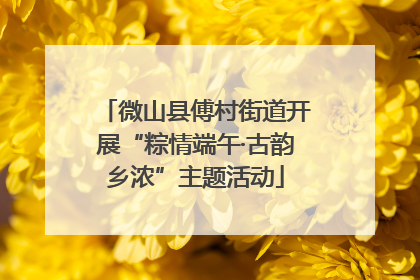 微山县傅村街道开展“粽情端午·古韵乡浓”主题活动