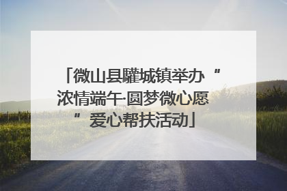 微山县驩城镇举办“浓情端午·圆梦微心愿”爱心帮扶活动