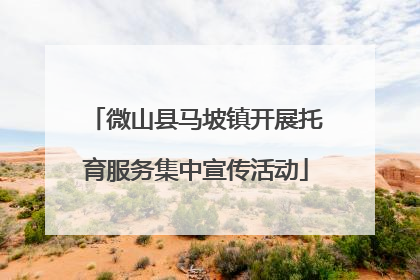 微山县马坡镇开展托育服务集中宣传活动
