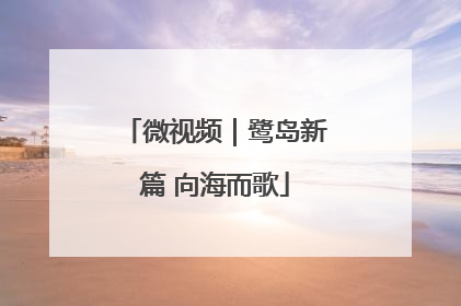 微视频｜鹭岛新篇 向海而歌