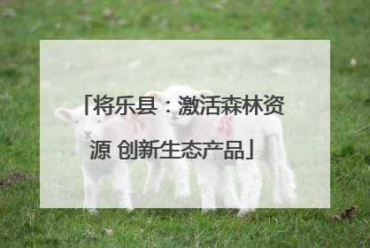 将乐县：激活森林资源 创新生态产品