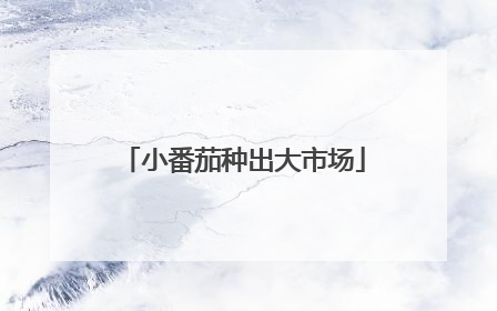 小番茄种出大市场