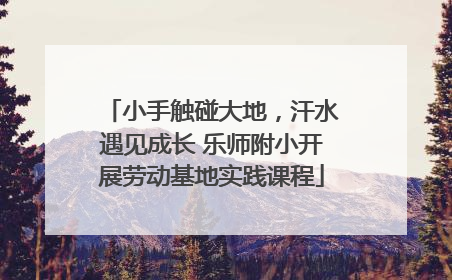小手触碰大地，汗水遇见成长 乐师附小开展劳动基地实践课程