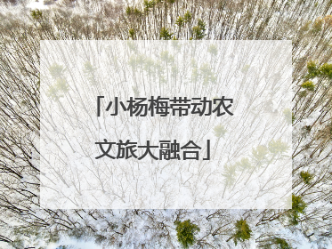 小杨梅带动农文旅大融合