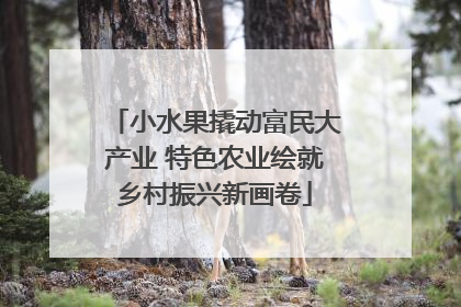 小水果撬动富民大产业 特色农业绘就乡村振兴新画卷