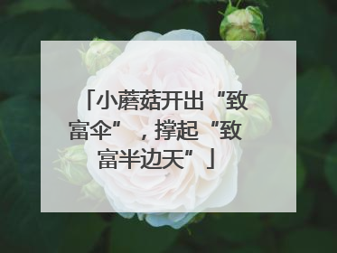 小蘑菇开出“致富伞”，撑起“致富半边天”