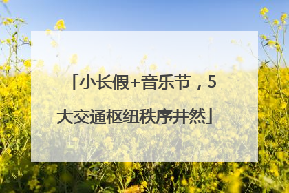 小长假+音乐节，5大交通枢纽秩序井然