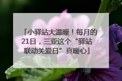 小驿站大温暖！每月的21日，三亚这个“驿站联动关爱日”真暖心