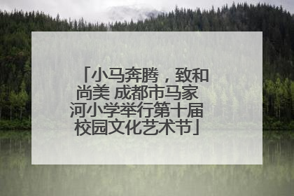 小马奔腾，致和尚美 成都市马家河小学举行第十届校园文化艺术节