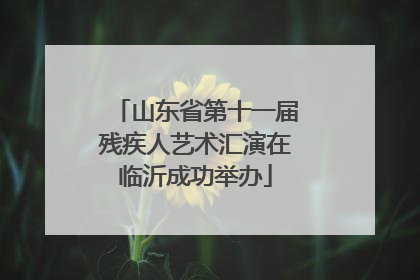 山东省第十一届残疾人艺术汇演在临沂成功举办
