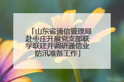 山东省通信管理局赴枣庄开展党支部联学联建并调研通信业防汛准备工作