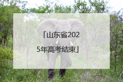 山东省2025年高考结束