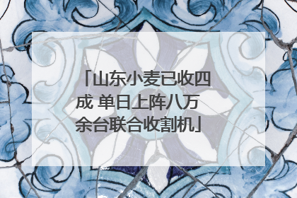 山东小麦已收四成 单日上阵八万余台联合收割机