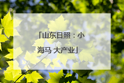 山东日照：小海马 大产业