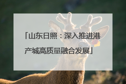 山东日照：深入推进港产城高质量融合发展