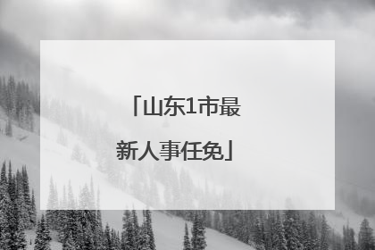 山东1市最新人事任免