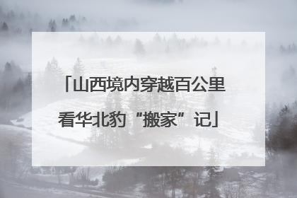 山西境内穿越百公里 看华北豹“搬家”记