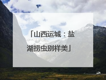 山西运城：盐湖捞虫别样美