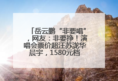 岳云鹏“非要唱”，网友：非要挣！演唱会票价超汪苏泷华晨宇，1580元档20秒抢空