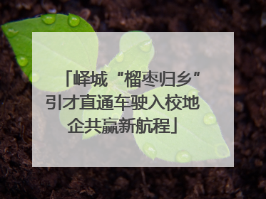 峄城“榴枣归乡”引才直通车驶入校地企共赢新航程