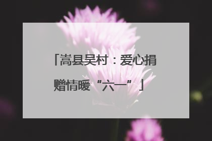 嵩县吴村：爱心捐赠情暖“六一”