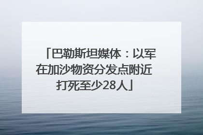 巴勒斯坦媒体：以军在加沙物资分发点附近打死至少28人