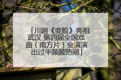 川剧《变脸》亮相武汉 第四届全国戏曲（南方片）会演演出过半频掀热潮