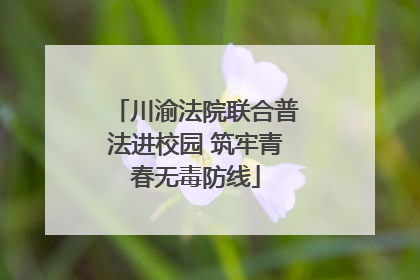 川渝法院联合普法进校园 筑牢青春无毒防线